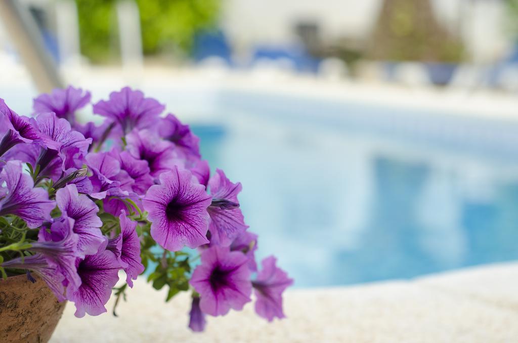 La Crisalida Retreats El Albir Ngoại thất bức ảnh